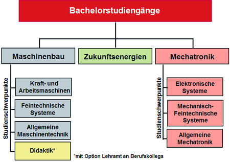 Bachelorstudiengänge Grafik: Bachelorstudiengänge des Fachbereichs