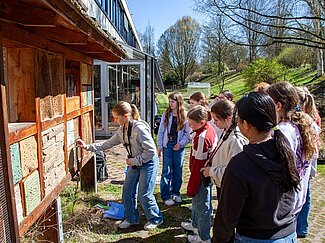 Eine Gruppe von Mädchen schaut einem Mädchen dabei zu, wie sie mit der Wildbienennisthilfe umgeht.