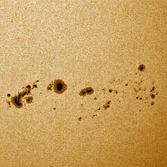 Sonnenflecken