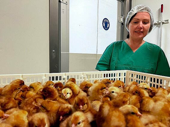 Professorin Dr. Helene Dörksen im Labor