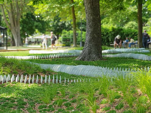 Rows of porcelain plates snake through a patch of garden on the rampart of the State Garden Show in Höxter.