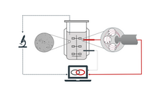 CellSENSING