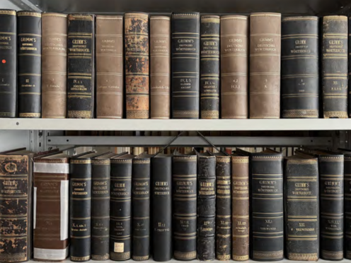 Abbildung: Wörterbücher der Gebrüder Grimm