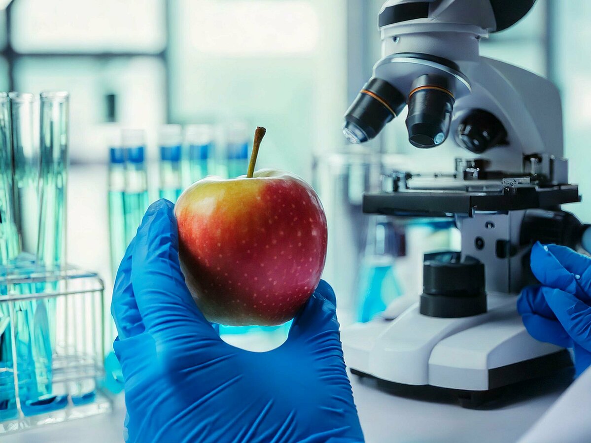 Ein Apfel mit regionalen Ursprung wird im Labor untersucht.