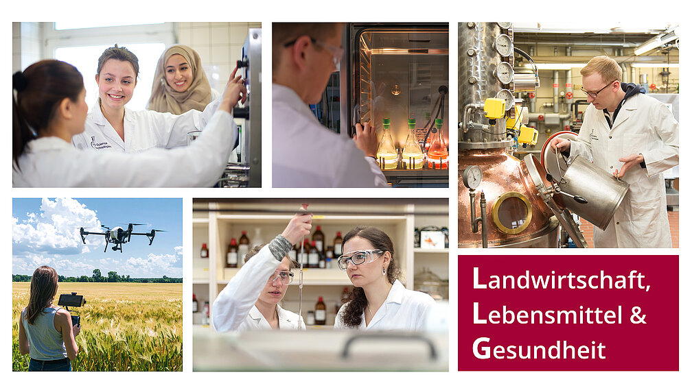 Startbild Fachbereich LLG