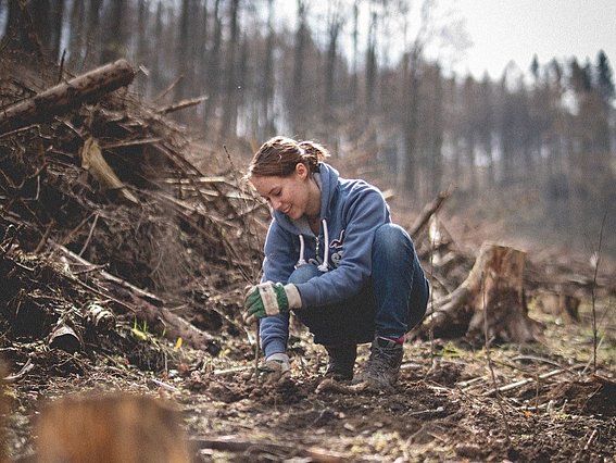 Pflanzaktion im Klimawald