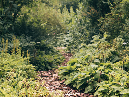 Weg in die Zukunft Weg in die Zukunft