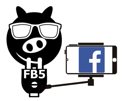 Fachschaftslogo (Borsti) mit Facebook Smartphone
