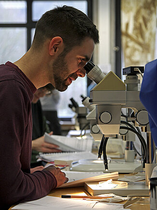 Bild aus dem Kursraum: Eine Person beim Mikroskopieren.