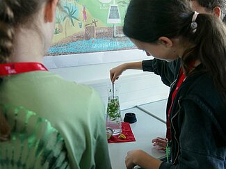 Zwei Mädchen stellen ihr eigenes Wasser her.