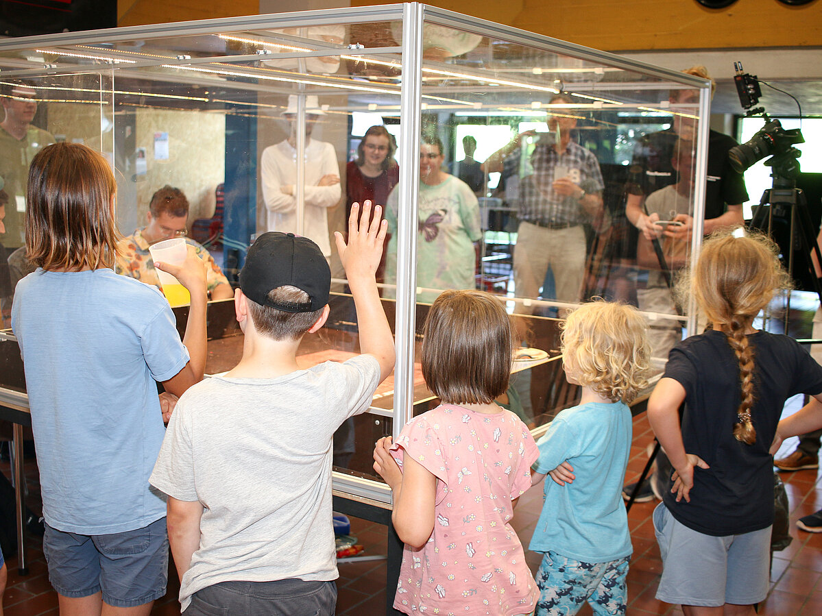 Kinder stehen an der Plexiglasscheibe der Arena, in der Roboter gegeneinander kämpfen.