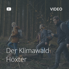 Kachel Der Klimawald Höxter