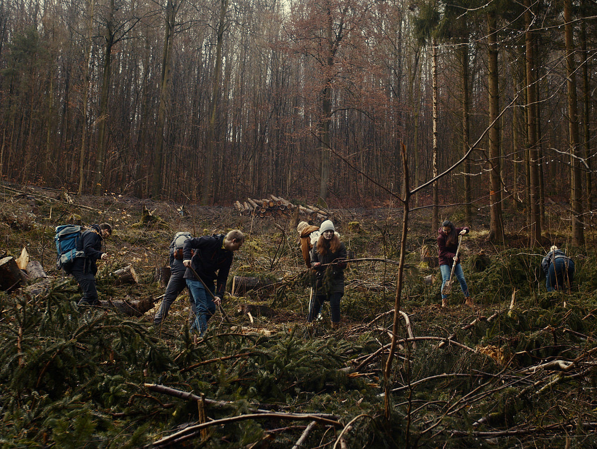 Studierende im Klimawald in Höxter