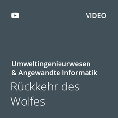 Kachel Rückkehr des Wolfes
