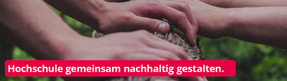 Hände, die einen Baumstamm festhalten - Symbol für Teamwork und gemeinsames Gestalten der nachhaltigen TH OWL