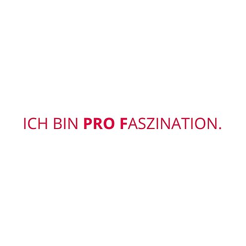 Bildkache mit Text: Ich bin PROFaszination.