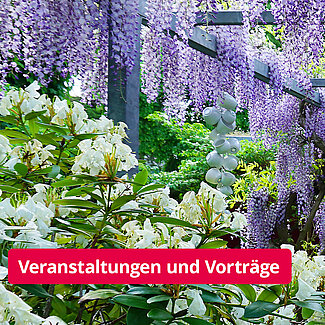 Dates, lectures and events with participation of the Ostwestfalen-Lippe University of Applied Sciences and Arts at the Landesgartenschau in Höxter.