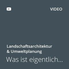Kachel Videos Was ist eigentlich