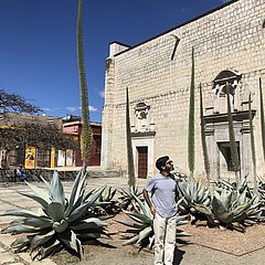 Ali im Auslandspraktikum in Mexiko: Oaxaca City Ali im Auslandspraktikum in Mexiko: Oaxaca City