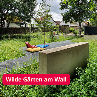 The "Wild Gardens" by Lena Louven and Janina Wohlfahrt give so-called weeds room for appreciation.