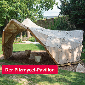 The fungal mycelium artwork grown into shape combines aesthetics, sustainability and practicality. (Photo: Arthur Isaak)