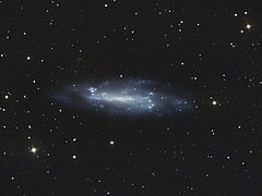 NGC4236, Caldwell-3