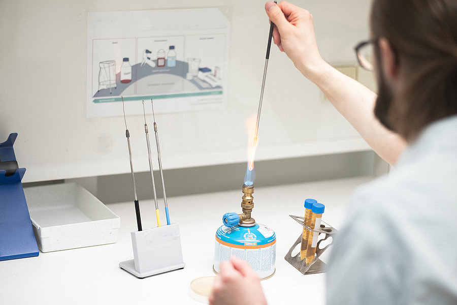 Th Owl Industrial Food And Bioproduction Bachelor Of Science B