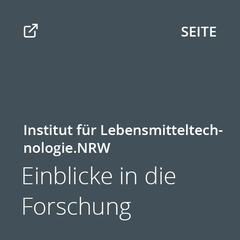 Kachel Einblicke in die Forschung