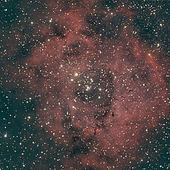 NGC 2244, Tak FSQ 106 mit SBIG 8300C, 10 x 300s, PP in Pixinsight.