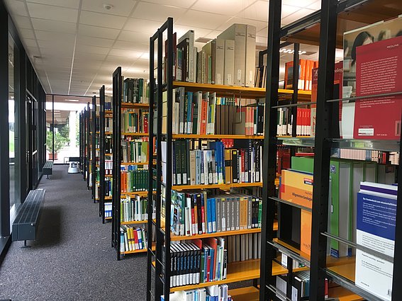 Blick auf die Bücherregale