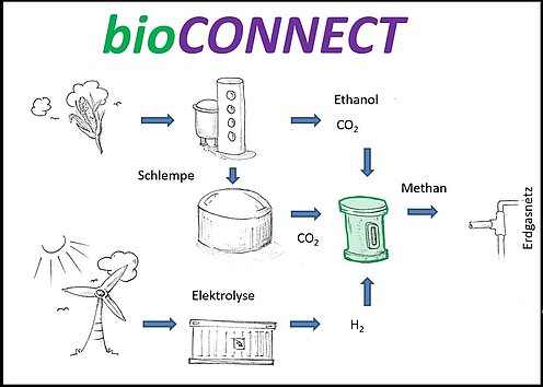 BioCONNECT BioCONNECT