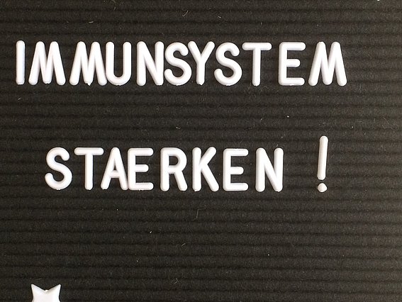 Immunsystem