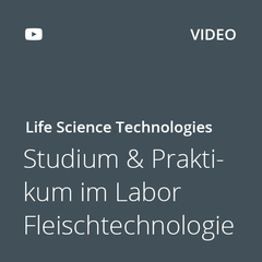 Kachel Studium und Praktikum im Labor Fleischtechnologie