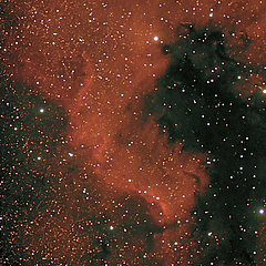 NGC 7000 (Nordamerikanebel)