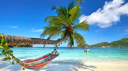 Former Staff Members