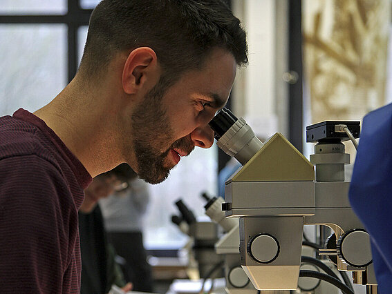 Foto: Ein Mann in einem Labor blickt in ein Mikroskop.