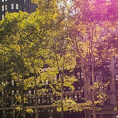 Urban Green Health Relations in Deprived European Neighborhoods