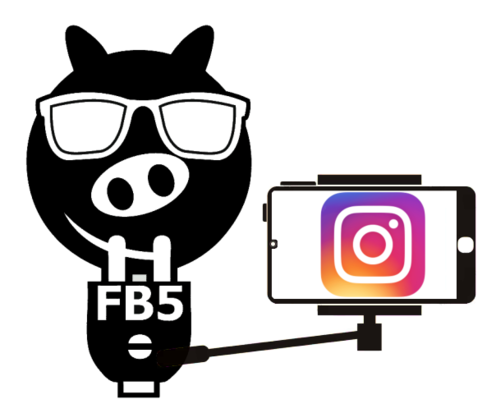 Fachschaftslogo (Borsti) mit Instagram Smartphone